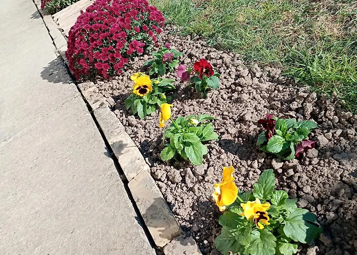 Kod Bake Novi Bečej